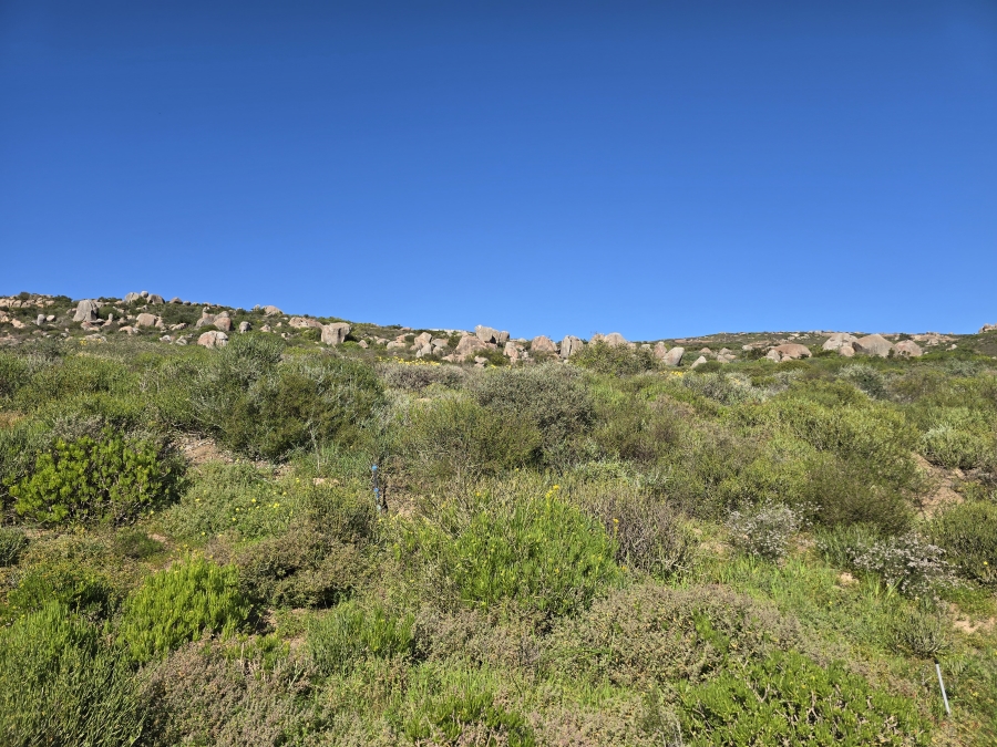 0 Bedroom Property for Sale in St Helena Views Western Cape